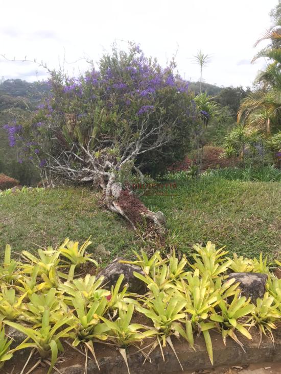 casa-venda-posse-teresopolis-1135975