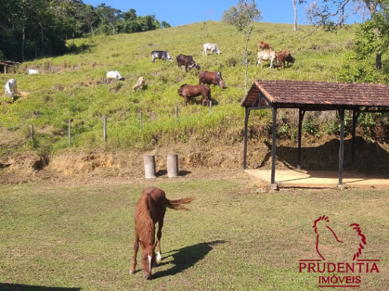 sitio-venda-estrada-quatis-vargem-grande-resende-rio-de-janeiro-rj-893635