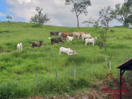 sitio-venda-estrada-quatis-vargem-grande-resende-rio-de-janeiro-rj-893634